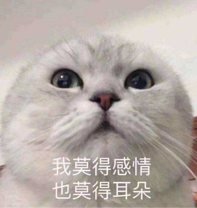 抖音新手必看！注册前想好领域并养号，避免播放量低