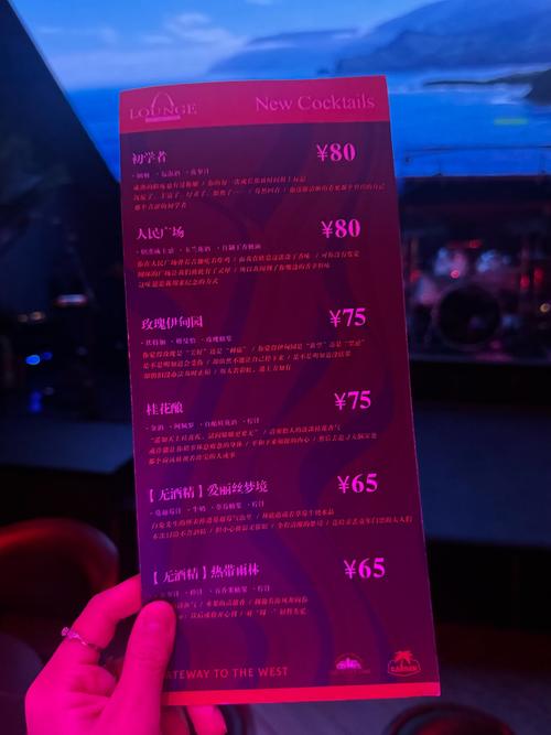 海口123酒吧老板是谁？附酒吧特色及国宾总店dj歌曲推荐