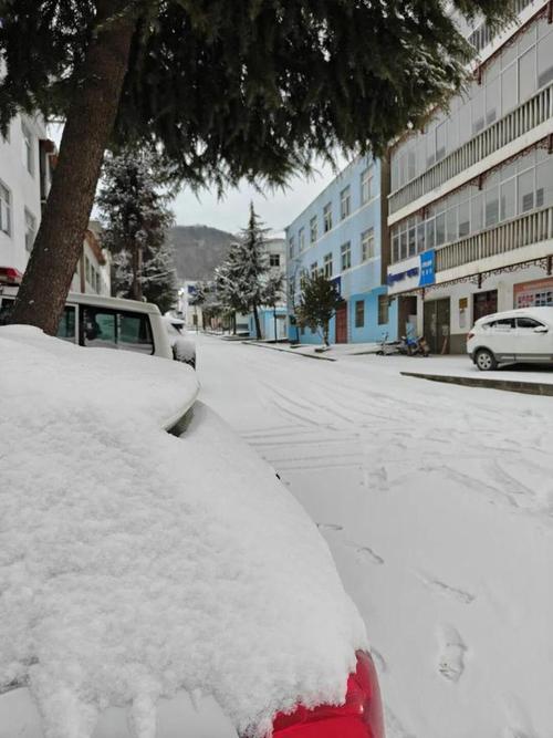 湖北大范围雨雪来袭，市民和农业该做哪些准备？